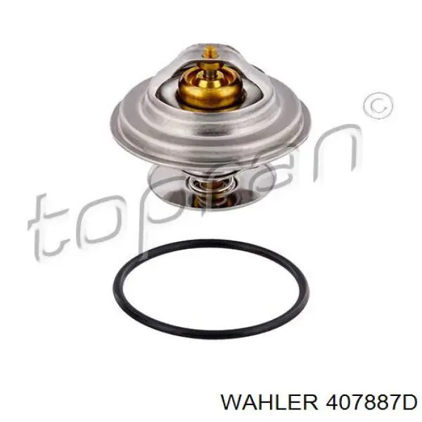 Compre 407887D Wahler Termostato