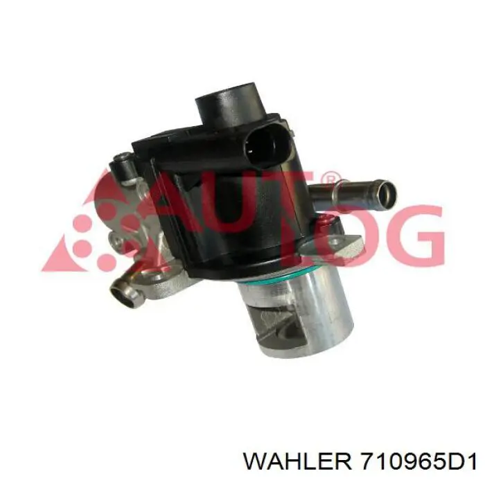 Compre EV127 Magneti Marelli Válvula EGR de recirculação dos gases