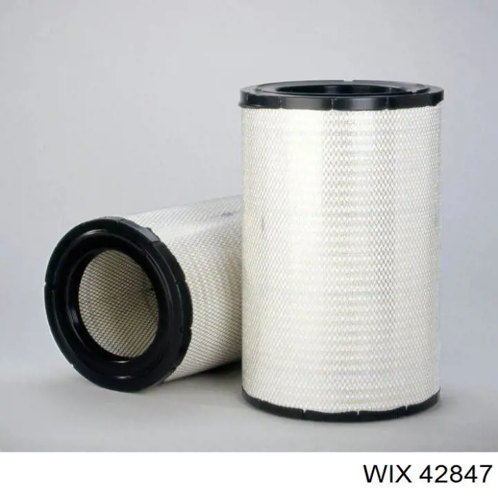 Compre 42847 WIX Filtro de ar