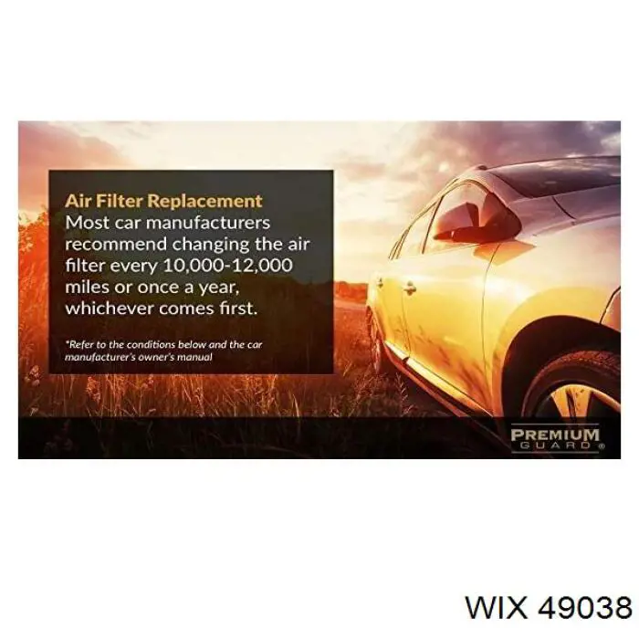 49038 WIX Filtro de ar