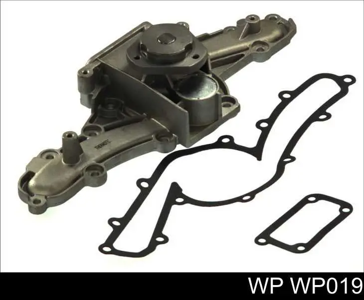 Compre WP019 WP 