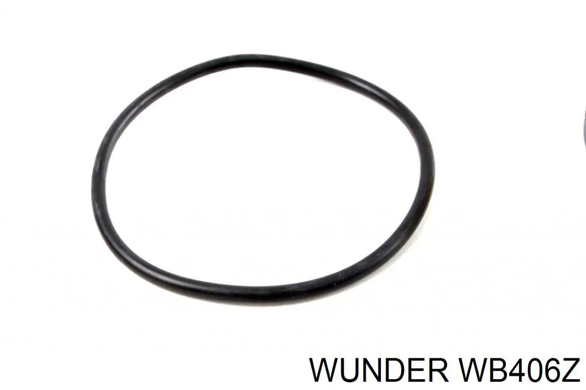 Compre WB406Z Wunder Filtro de combustível