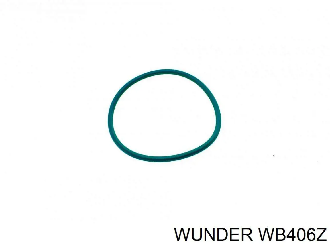 Compre WB406Z Wunder Filtro de combustível
