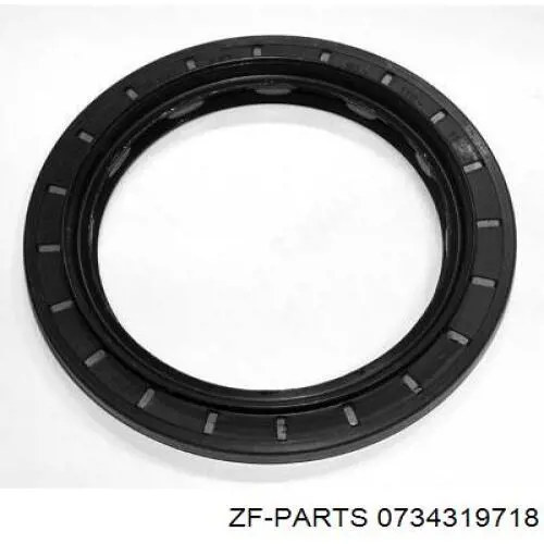 Anel de vedação, universal ZF Parts 0734319718 preço, a partir de 50,48 USD