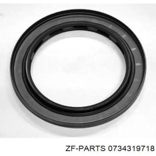 Compre 0734319718 ZF Parts Anel de vedação, universal