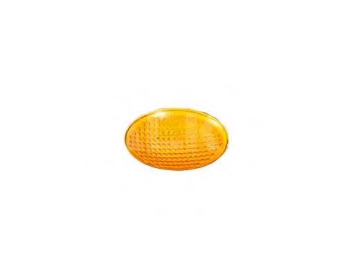 Luz intermitente no pára-lama 5555195E Polcar