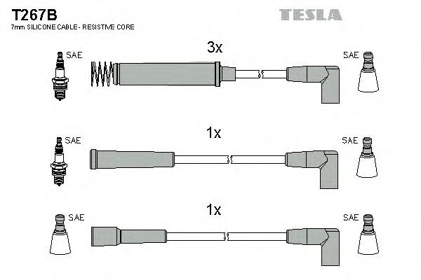 T267B Tesla