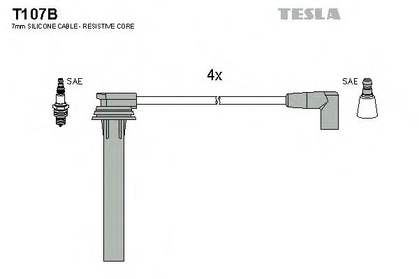 T107B Tesla