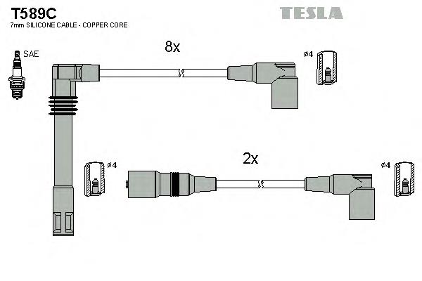 T589C Tesla