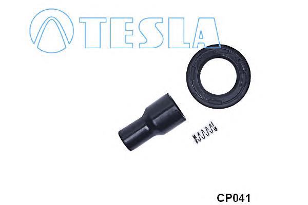 CP041 Tesla