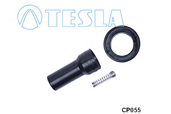 CP055 Tesla