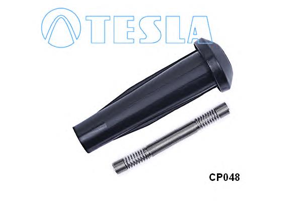 CP048 Tesla