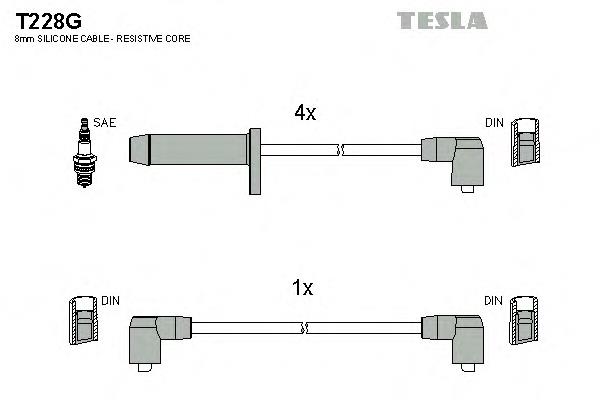 T228G Tesla