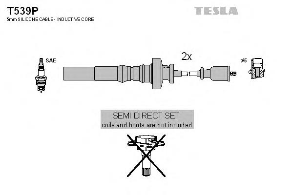 T539P Tesla