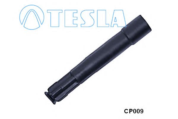 CP009 Tesla