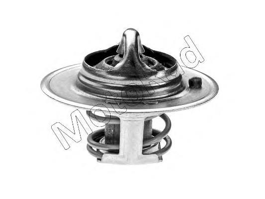 6994257 Ford Termostato