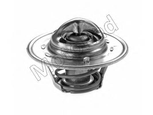 Termostato 6526879 Ford