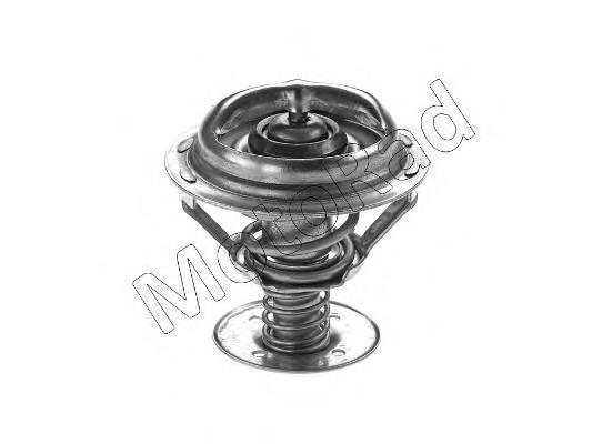 Compre 4495428 Ford Termostato