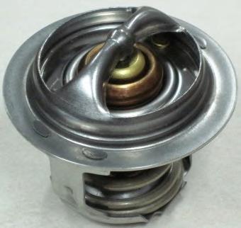 Termostato A63990001 Ackojap