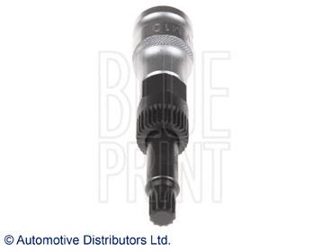  Blue Print ADG05506