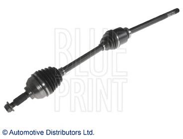 ADZ989504 Blue Print