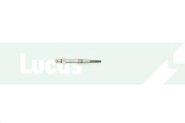 Compre PX95 Magneti Marelli Vela de incandescência
