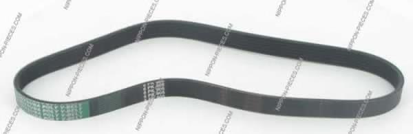 Compre 06F903137E VAG Correia dos conjuntos de transmissão