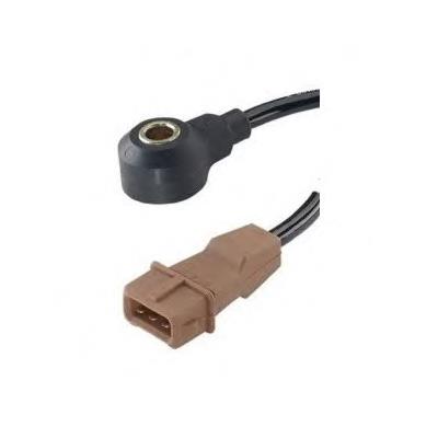 Compre 60133 FAE Sensor de detonação