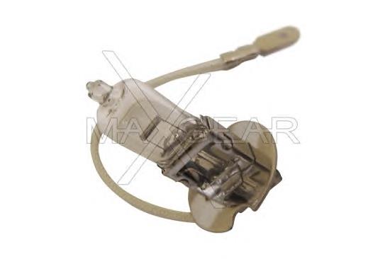 Lâmpada halógena 7701400250 Renault (RVI)