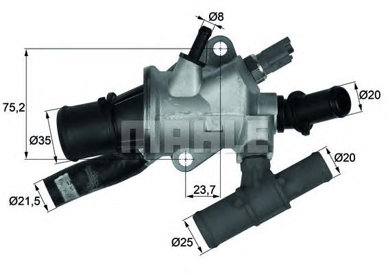 Caixa do termostato 862021288 Triscan