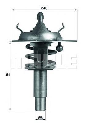 Termostato Febi 106507