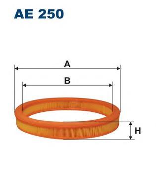 AE250 Filtron Filtro de ar