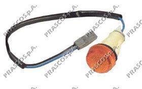 Luz intermitente no pára-lama 3026195X Polcar