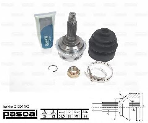 G13052PC Pascal