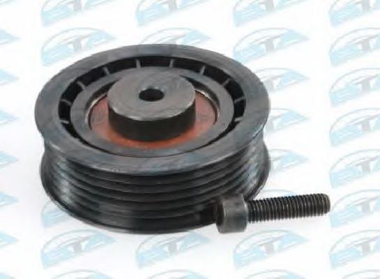 Rolo parasita da correia de transmissão APV2122 Dayco