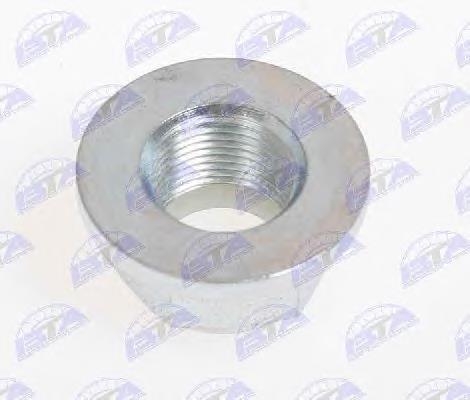 Porca de cubo dianteiro 7703034250 Renault (RVI)