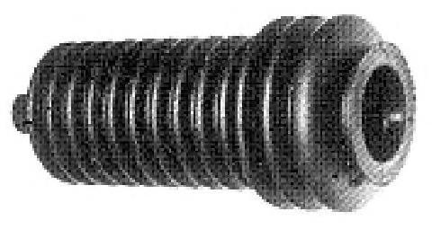  Metalcaucho 00263