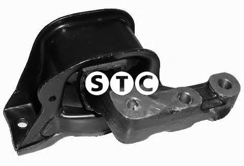 031501 Cautex Coxim (suporte) direito de motor