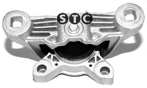  Cautex 081024