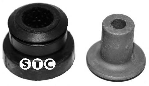 210036 Cautex 