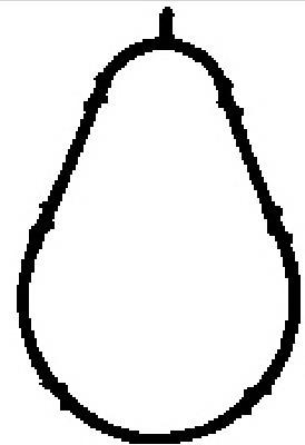 06B129717A VAG Vedante de tubo coletor de admissão