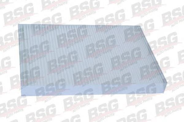 BSG60145001 BSG Filtro de salão