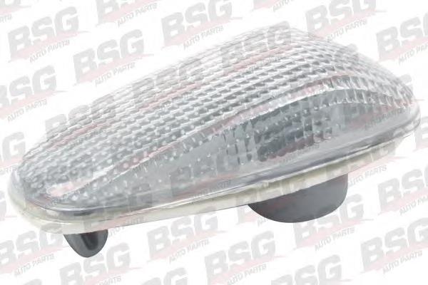 BSG60810005 BSG Luz intermitente no pára-lama