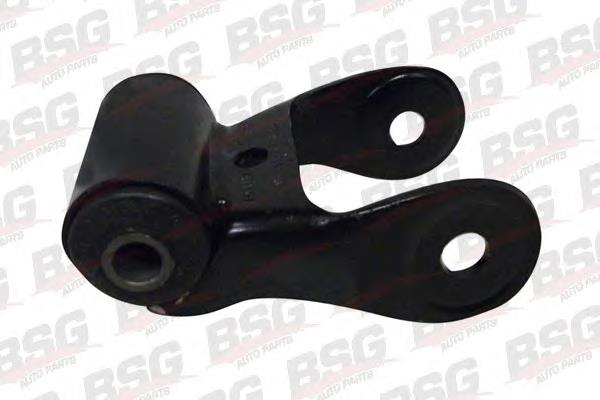 BSG30700001 BSG