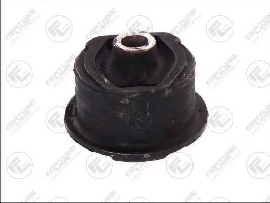 FZ9745 Fortune Line