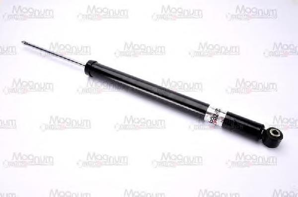 RS313669 Raiso Amortecedor traseiro