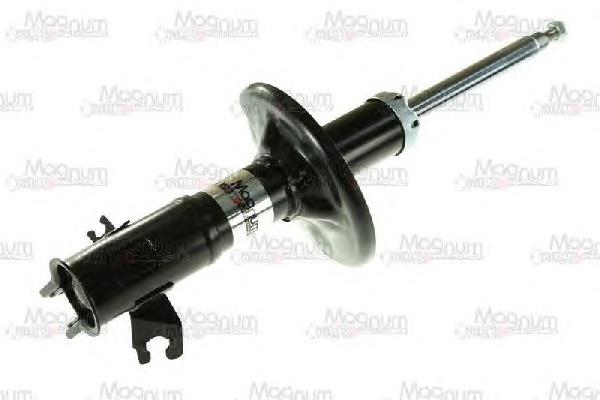 RS312886 Raiso Amortecedor dianteiro direito