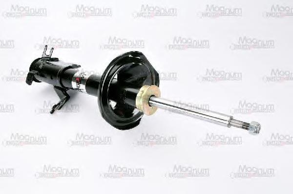 RS317157 Raiso Amortecedor dianteiro esquerdo