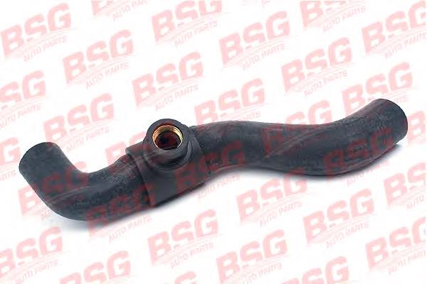 Compre 7405635 Ford Mangueira (cano derivado) do radiador de esfriamento superior