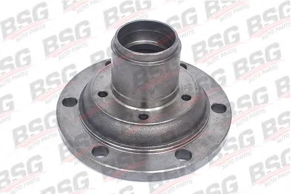 BSG30325003 BSG Cubo dianteiro